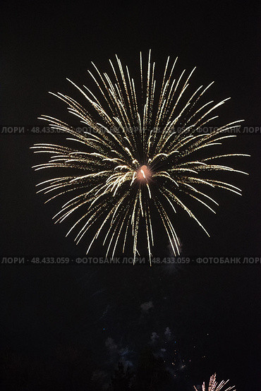 Праздничный салют. Салют в небе. Festive fireworks. Fireworks in the sky. Стоковое фото, фотограф Ольга Митряева / Фотобанк Лори