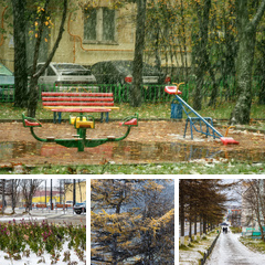 Альбом: Первый снег