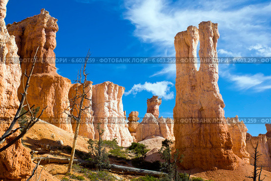 Причудливые скалы в национальном парке Брайс-Каньон (англ. Bryce Canyon National Park) (2014 год). Стоковое фото, фотограф Ирина Кожемякина / Фотобанк Лори
