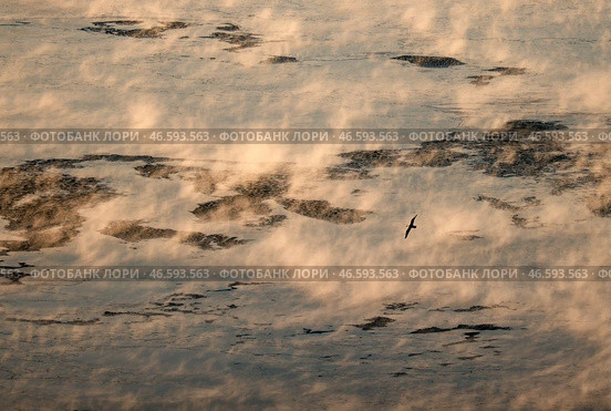 Приморский край. Парение воды в проливе Босфор Восточный. Стоковое фото, фотограф Юрий Смитюк / ТАСС / Фотобанк Лори
