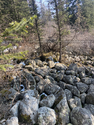 Природный заповедник Ала-Арча в Киргизстане, Памир. Редакционное фото, фотограф Шеин Александр / Фотобанк Лори