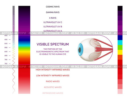 Prism light spectrum infographics with vertical color palette and human eye image with range and text vector illustration. Стоковая иллюстрация, агентство Ingram Publishing / Фотобанк Лори
