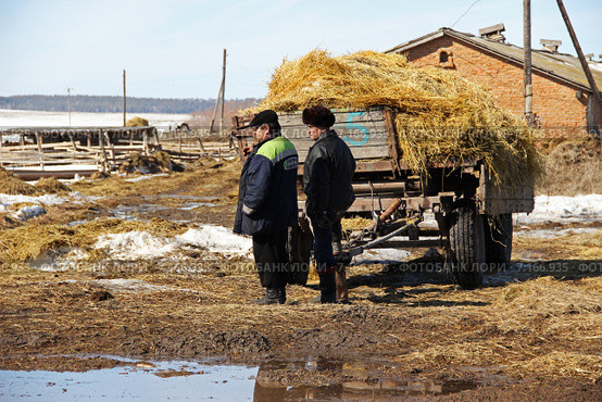 Прицеп гружёный соломой (2015 год). Редакционное фото, фотограф Сергей Юрьев / Фотобанк Лори