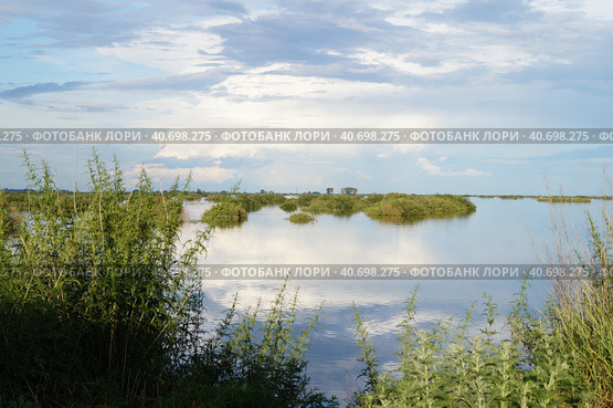 Приволье. Стоковое фото, фотограф Людмила Булыгина / Фотобанк Лори