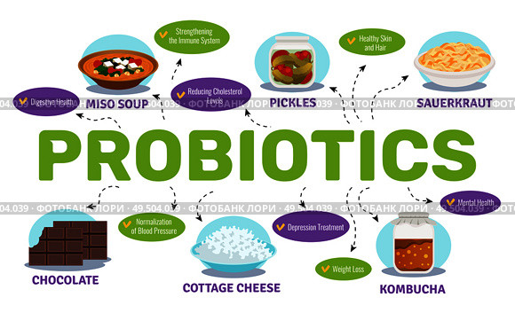 Probiotics and health concept with food and bacteria symbols flat vector illustration. Стоковая иллюстрация, агентство Ingram Publishing / Фотобанк Лори