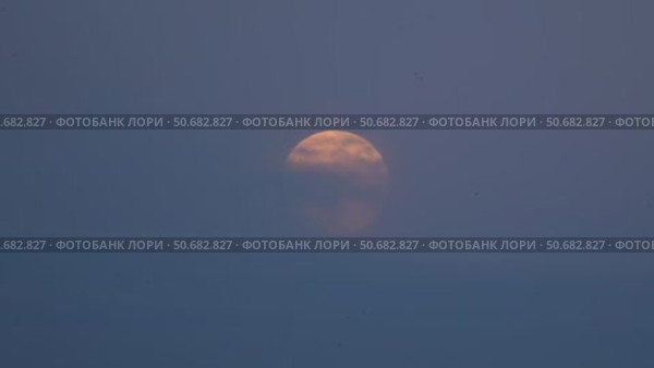 Птицы летают перед полной луной. Стоковое видео, видеограф Сергей Мартынов / Фотобанк Лори