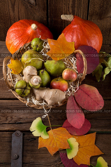pumpkin apfel basket. Стоковое фото, агентство Ingram Publishing / Фотобанк Лори