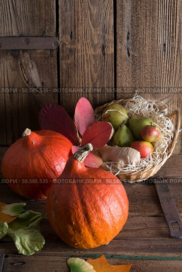 	pumpkin apfel basket. Стоковое фото, агентство Ingram Publishing / Фотобанк Лори