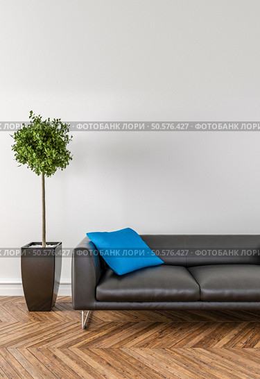Put your creation on this empty area. Parquet on the floor, sofa and interior plant. Стоковое фото, агентство Ingram Publishing / Фотобанк Лори