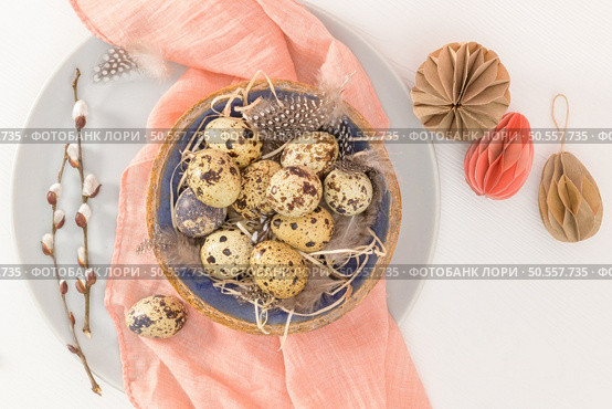 Quail eggs in a ceramic bowl with a peach fuzz pink colored scarf and bird feathers. Wooden table painted white. Background with elements suggestive of the Easter season. Стоковое фото, агентство Ingram Publishing / Фотобанк Лори