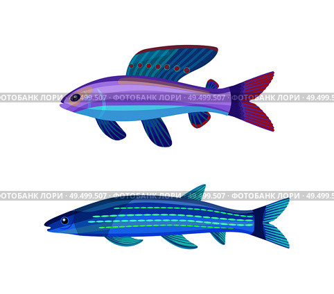 Rare exotic aquarium unusual color fish. Violet-blue sea creature with red dotted fin and long stripped blueish specie cartoon vector illustration.. Unusual Color Marine Creatures Isolated on White. Стоковая иллюстрация, агентство Ingram Publishing / Фотобанк Лори
