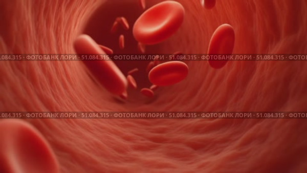 Red blood cells flowing through a blood vessel. The scene illustrates the circulatory system and the movement of blood in the human body. Стоковое AI-видео, аниматор Nart / Фотобанк Лори