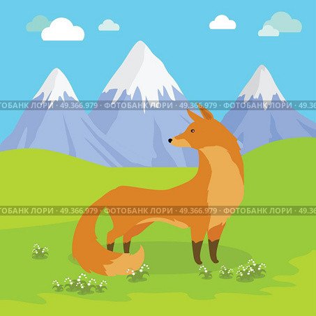 Red Fox Standing on the Meadow in the Mountains.. Red fox vulpes standing on the meadow in the mountains. Cute wild animal with flattened skull, upright triangular ears, pointed snout, and long bushy tail. Cartoon banner. Vector design illustration. Стоковая иллюстрация, агентство Ingram Publishing / Фотобанк Лори