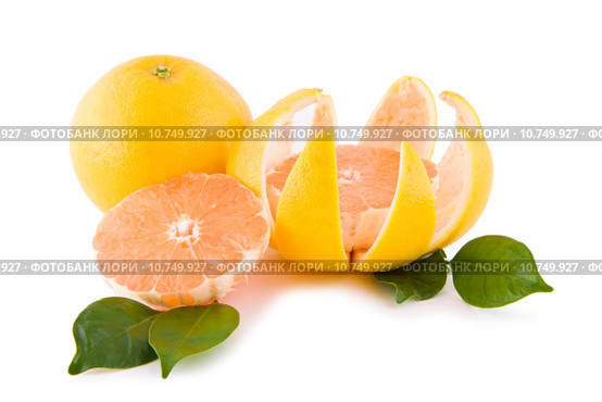 Red grapefruits with leafs. Стоковое фото, фотограф Artur Wojteczek / PantherMedia / Фотобанк Лори