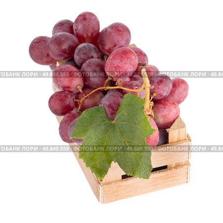 Red grapes in wooden crate isolated on white background. Стоковое фото, агентство Ingram Publishing / Фотобанк Лори