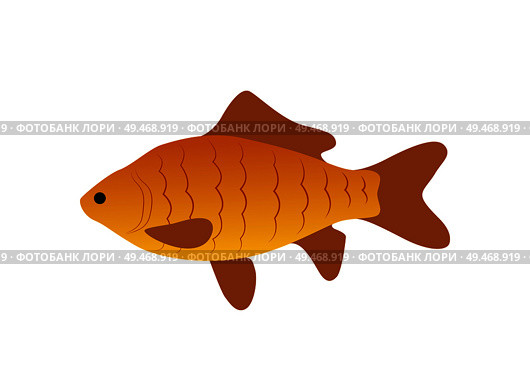 Red zebra fish icon closeup. Animal living in water ocean sea or lake dweller. Aquatic organism with fins and gills aqua fauna isolated on vector. Red Zebra Fish Icon Closeup Vector Illustration. Стоковая иллюстрация, агентство Ingram Publishing / Фотобанк Лори