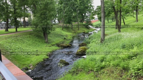 Река. Стоковое видео, видеограф Клопотовская Мария / Фотобанк Лори
