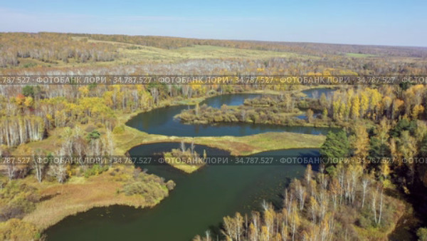 Река Коён под Новосибирском, вид сверху / Aerial video of meanders of the Koen river. Beautiful autumn landscape from above. (2020 год). Стоковое видео, видеограф Сергей Пристяжнюк (Serg Zastavkin) / Фотобанк Лори