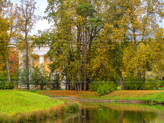 Река славянка в осеннем паре Павловска (2015 год). Редакционное фото, фотограф Александр Белов / Фотобанк Лори