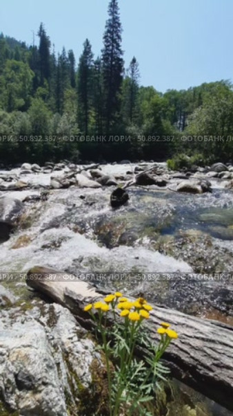 Река Солзан. Стоковое видео, видеограф Ольга Грушицкая / Фотобанк Лори
