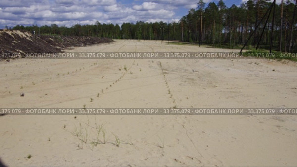 Рекультивация участка добычи нефти. Посадка саженцев сосны. Reclamation of an oil production site. Planting pine seedlings. Стоковое видео, видеограф Евгений Романов / Фотобанк Лори