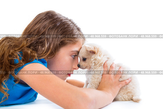 relaxed kid girl and puppy chihuahua dog lying happy profile view on white background. Стоковое фото, агентство Ingram Publishing / Фотобанк Лори