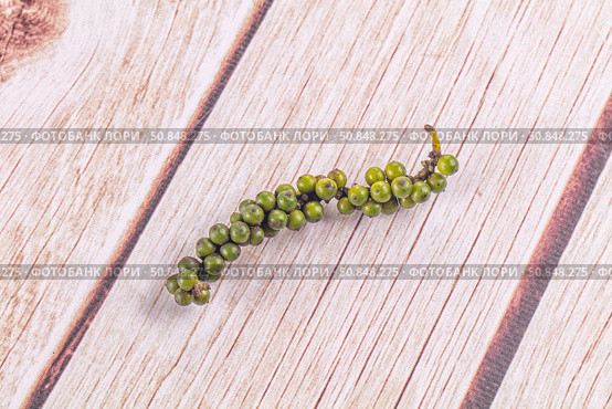 Ripe green pepper corn branch. Стоковое фото, фотограф Андрей Старостин / Фотобанк Лори