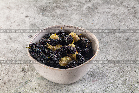 Ripe sweet juicy black and white mullberry. Стоковое фото, фотограф Андрей Старостин / Фотобанк Лори