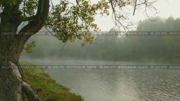 River landscape with fog in the morning, 4k. Стоковое видео, видеограф Михаил Коханчиков / Фотобанк Лори
