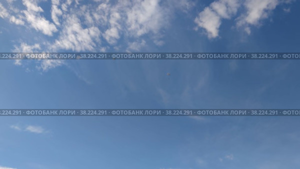Россия - август 2022, Тверская область. Военные учения десантников на воде. Russia - August 2022, Tver region. Military exercises of paratroopers on the water. Стоковое видео, видеограф Мария / Фотобанк Лори