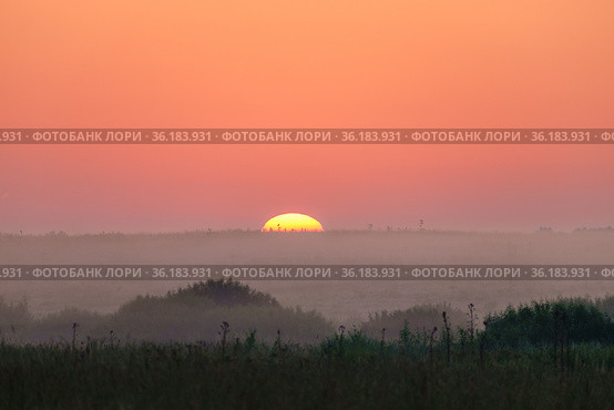Россия, Бородино, восход солнца на Бородинском поле. Стоковое фото, фотограф glokaya_kuzdra / Фотобанк Лори