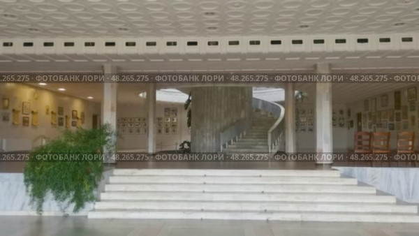 Россия, Краснодарский край, Сочи. Сентябрь 2024. ​Ботанический сад. Редакционное видео, видеограф Сергей Татаринцев / Фотобанк Лори