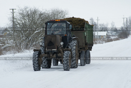 Россия. Санкт-Петербург. Трактор везет навоз по деревне. Russia. Saint-Petersburg. A tractor carries manure through the village. (2010 год). Редакционное фото, фотограф Алексей Смышляев / Фотобанк Лори