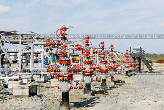 Россия, Тюменская область, Уватский район; Усть-Тегусское нефтяное месторождение; Кустовая площадка №1. глубинные насосы, задвижки на скважинах. Стоковое фото, фотограф Александр Циликин / Фотобанк Лори