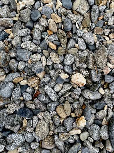 Rough gray pebbles from the seashore in a continuous layer. Stones, decor, bg. Стоковое фото, фотограф Кирилл Зотов / Фотобанк Лори