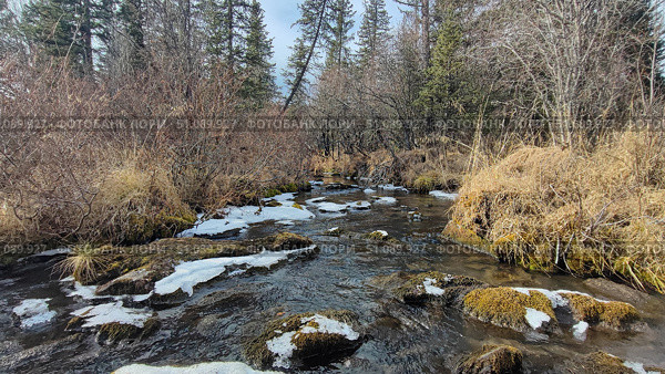 Ручей в горном Алтае, Первый снег и лед. A stream in the Altai Mountains, The first snow and ice. Стоковое фото, фотограф Денис Баданин / Фотобанк Лори