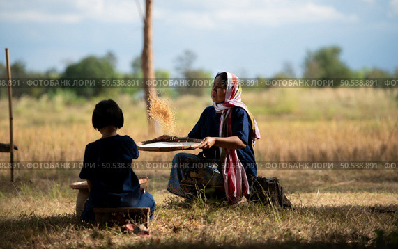 Rural life of Thai farmers More than 70% have to live on farming. Sifting rice with baskets that farmers are doing as shown in the picture is a method of separating rice from the husk. Стоковое фото, агентство Ingram Publishing / Фотобанк Лори