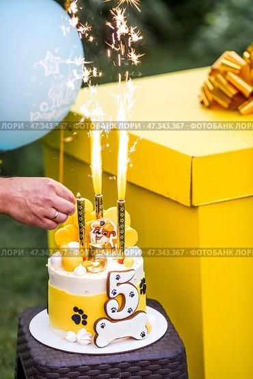 Russia, Moscow, 28 June 2024: Birthday cake at the children's birthday party "Puppy Patrol". Balloons in the background. The concept of a children's holiday in nature. Редакционное фото, фотограф Photojuli / Фотобанк Лори