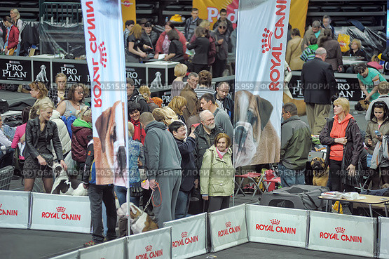 Russia, Saint-Petersburg, 15,05,2014, International Dog Show of all breeds (CACIB-FCI, Chemp.RKF) WHITE NIGHTS. Редакционное фото, фотограф Анна Кривицкая / Фотобанк Лори