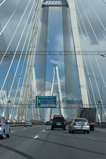 Russia, St.Petersburg, 05,06,2016 The Ring Road and Cable Bridge. Редакционное фото, фотограф Анна Кривицкая / Фотобанк Лори