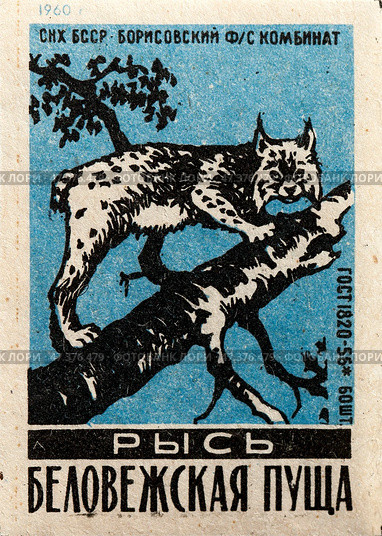 Рысь. Серия: Беловежская пуща. Спичечные этикетки СССР. 1960. Редакционное фото, фотограф Сергей Афанасьев / Фотобанк Лори