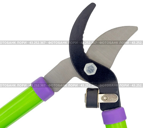 Садовый секатор на белом фоне. Gardening secateurs for cutting branches isolated on white. Стоковое фото, фотограф Татьяна Д / Фотобанк Лори