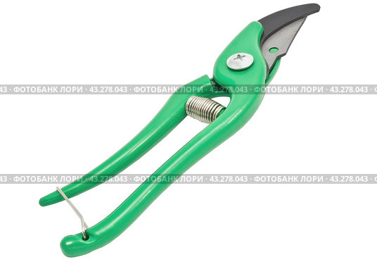 Садовый секатор на белом фоне. Gardening secateurs for cutting branches isolated on white. Стоковое фото, фотограф Татьяна Д / Фотобанк Лори