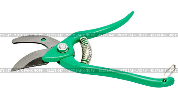 Садовый секатор на белом фоне. Gardening secateurs for cutting branches isolated on white. Стоковое фото, фотограф Татьяна Д / Фотобанк Лори