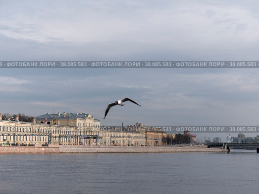 SAINT-PETERSBURG, RUSSIA - SEPTEMBER 20, 2020 - View of Pirogovskaya quay in Saint-Petersburg, Russia. The Military Medical Academy. Стоковое фото, фотограф Фотограф / Фотобанк Лори
