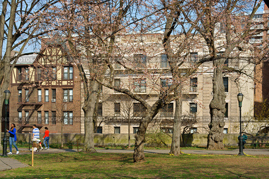 Sakura Park is public park on  background of residential buildings. Нью-Йорк, США (2018 год). Редакционное фото, фотограф Валерия Попова / Фотобанк Лори