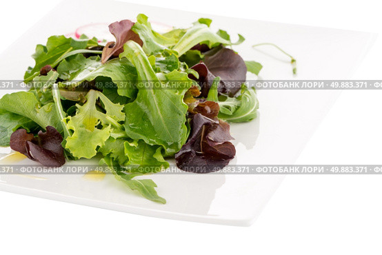 Salad mix with rucola, frisee, radicchio and lamb’s lettuce. Isolated on white background. Стоковое фото, агентство Ingram Publishing / Фотобанк Лори