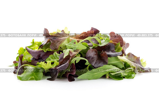 Salad mix with rucola, frisee, radicchio and lamb’s lettuce. Isolated on white background. Стоковое фото, агентство Ingram Publishing / Фотобанк Лори