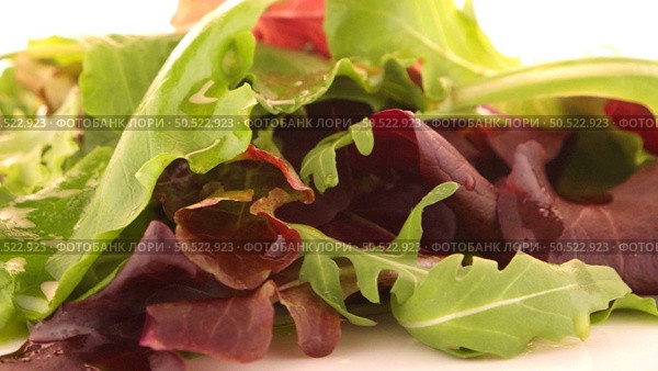 Salad mix with rucola, frisee, radicchio and lamb’s lettuce. Isolated on white background. Стоковое фото, агентство Ingram Publishing / Фотобанк Лори