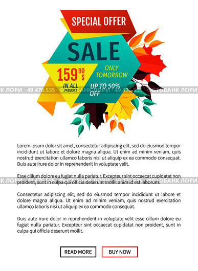 Sale special exclusive offer poster. Only tomorrow unique reduced price decrease cost promotion. Shopping proposition autumnal sellout deal vector. Sale Special Exclusive Offer Vector Illustration. Стоковая иллюстрация, агентство Ingram Publishing / Фотобанк Лори